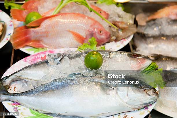 新鮮獲れたての海の魚 - アジア大陸のストックフォトや画像を多数ご用意 - アジア大陸, クローズアップ, ゴウシュウマダイ