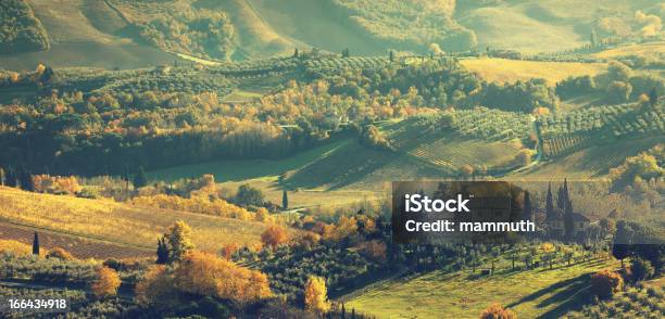 Landschaft In Der Toskana Stockfoto und mehr Bilder von Anhöhe - Anhöhe, Baum, Chianti-Region