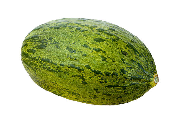 istock Piel de Sapo isolated with clipping path 166439673
