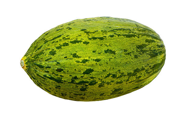 istock Piel de Sapo isolated with clipping path 166441566