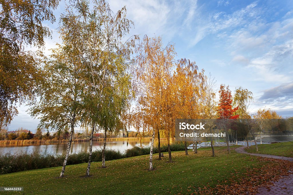 Jesień kolory w parku - Zbiór zdjęć royalty-free (Bez ludzi)