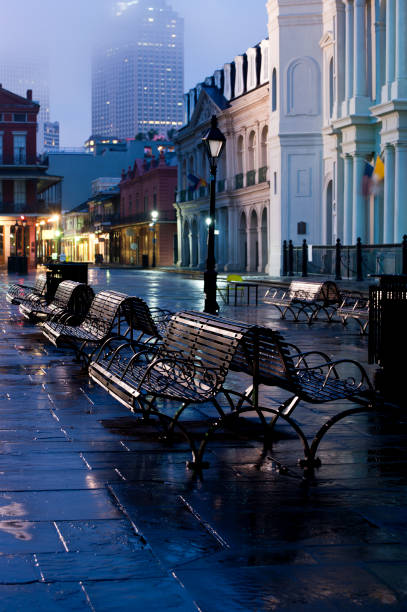 French Quarter Vertical image of Jackson Square in the night after a rain. jackson square stock pictures, royalty-free photos & images