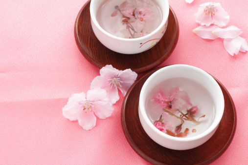 dried cherry blossom hot tea for japanese spring food image