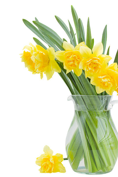 istock bouquet of narcissus 166447435
