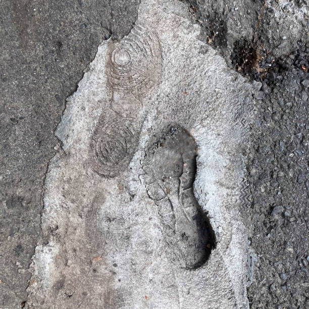 istock Human shoe foot print 1664503343