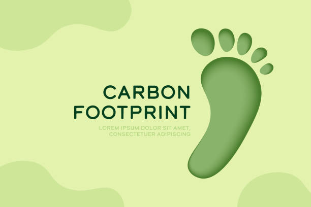 istock Carbon Footprint icon. Ecology and environment sustainable development concept design. Paper cut vector illustration. 1664602103