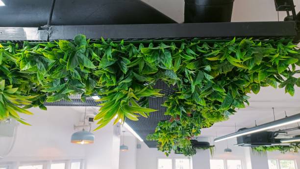 istock Decoration and decoration on the ceiling 1664614465