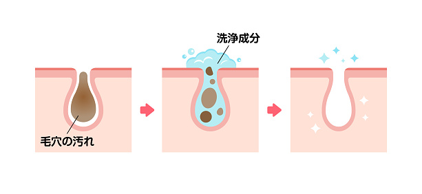 Mechanism illustration of skin care , skin cleaning (cross section of skin)