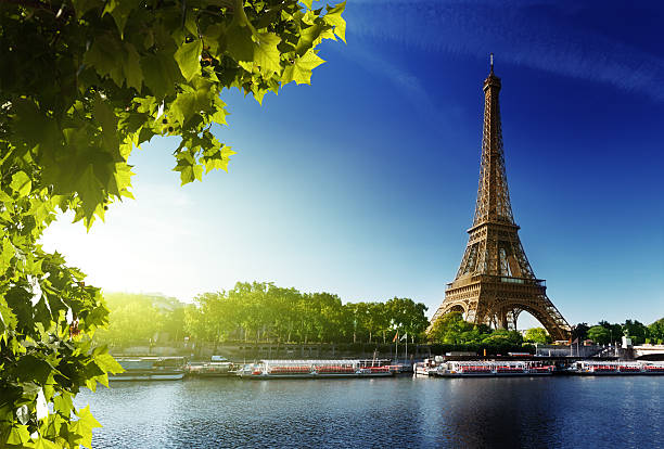 istock River Seine and the Eiffel Tower in Paris 166463889