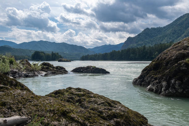 istock A wide, full-flowing mountain river with a fast current. 1664677956