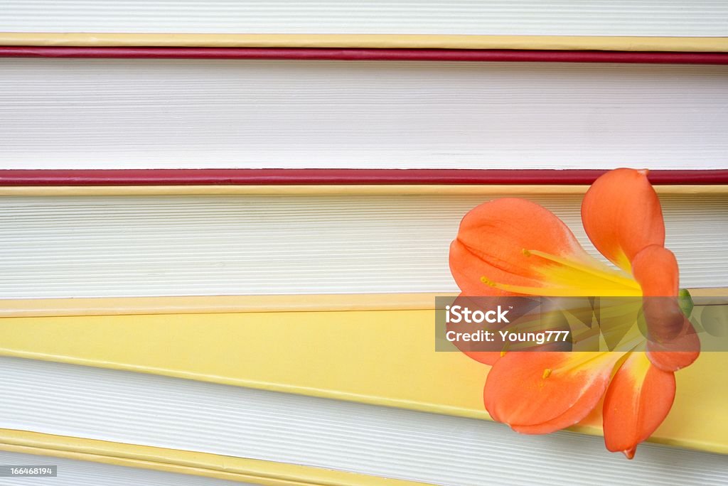 Kwiat na stos książek - Zbiór zdjęć royalty-free (Bez ludzi)