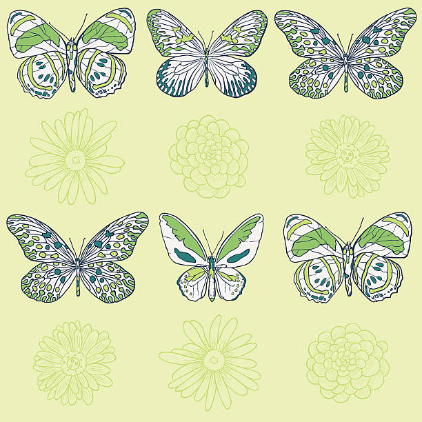 Vector butterfly pattern vector art illustration