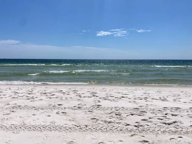 istock Panama City Beach, Florida 1664695374