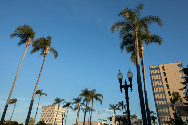 istock Santa Ana California Skyline 1664709489