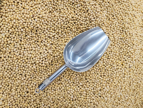 soybean background