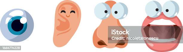 Four Senses Vector Cartoon Drawing Illustration Set Stock Illustration