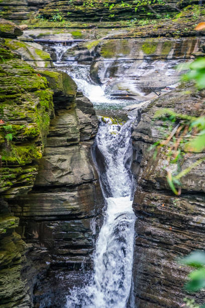 istock Watkins Glen State Park Landscape View 2023 1664719492