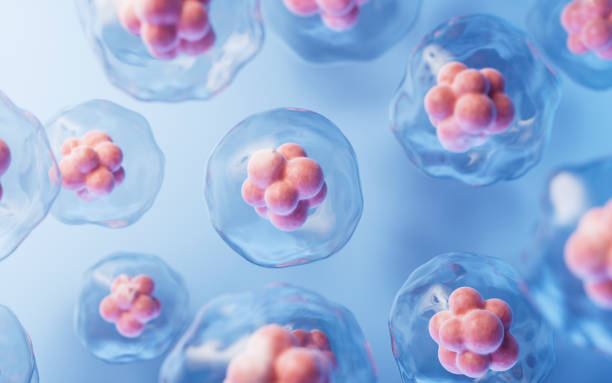 istock Transparent cell with biotechnology and cosmetic concept, 3d rendering. 1664723200