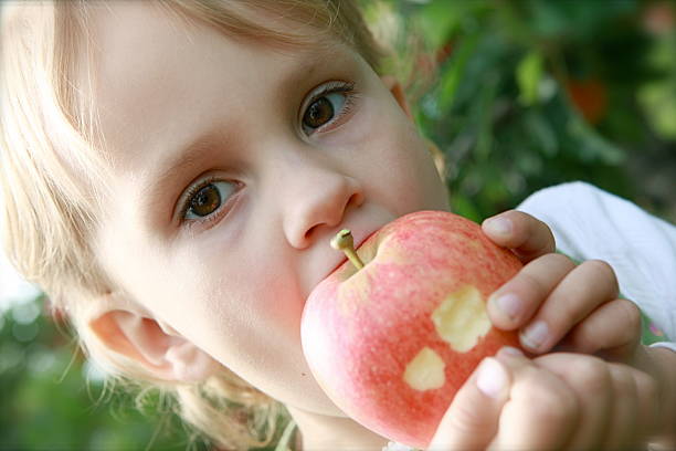 istock Little Girl Eating Apple at Orchard 166473600