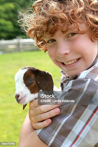 Menino Recémnascido Cabra Justo - Fotografias de stock e mais imagens de Abraçar - Abraçar, Agricultor, Alegria