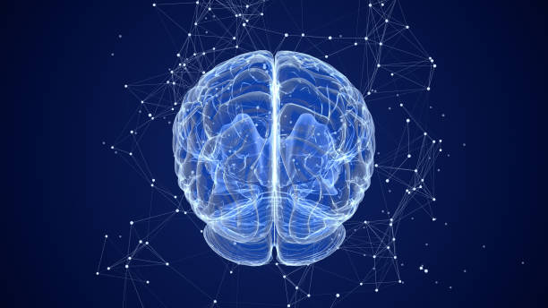 istock 3D Animation of Human Brain with plexus 1664759348