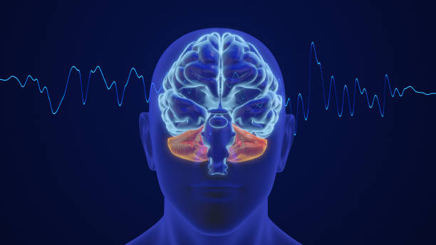 istock 3D animation of the human brain intelligence and thinking with waves 1664760184