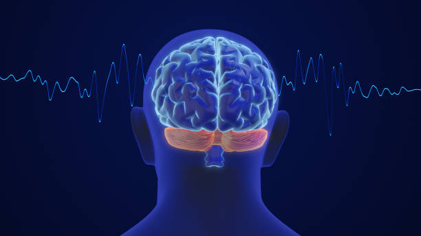 istock 3D animation of the human brain intelligence and thinking with waves 1664760399