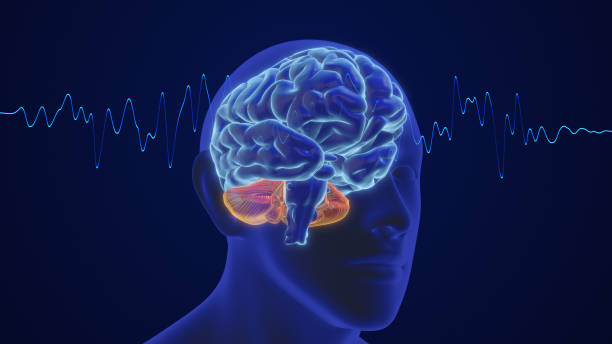 istock 3D animation of the human brain intelligence and thinking with waves 1664760420