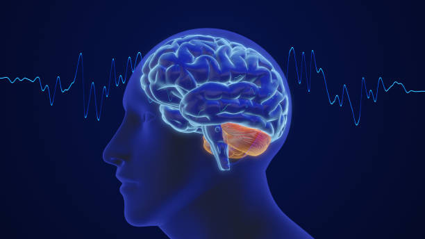 istock 3D animation of the human brain intelligence and thinking with waves 1664760423