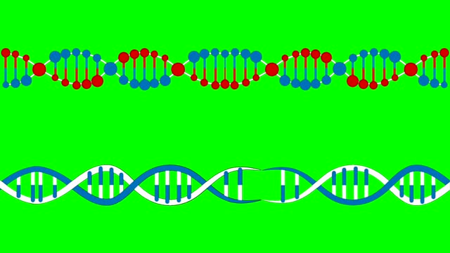 DNA molecule, Medical science, genetic biotechnology