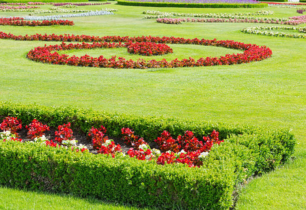 jardim de flor - salzburg arrangement azalea blooming imagens e fotografias de stock