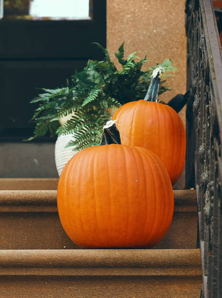 istock Pumpkin decor on the steps of the staircase 1664857593