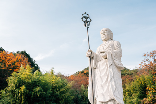 Busan, Korea - November 21, 2022 : Gijang Jangansa Temple buddha statue with autumn forest