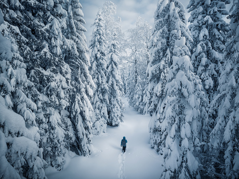 Man hiking in forest after fresh snow. Aerial view.
