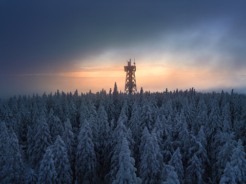 Lookout tower in the middle of snowcapped forest at sunrise. Aerial view.