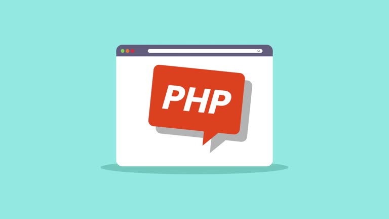 PHP Developer concept animation