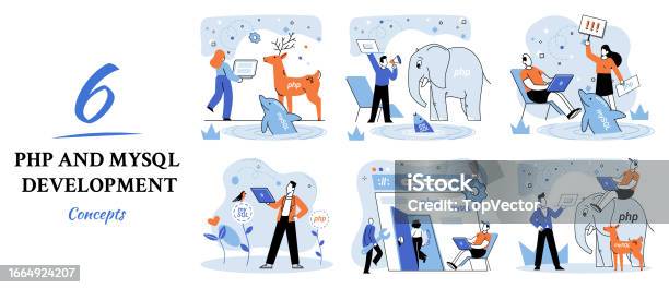 Php And Mysql Development Software Website Developer Programmer Service ...