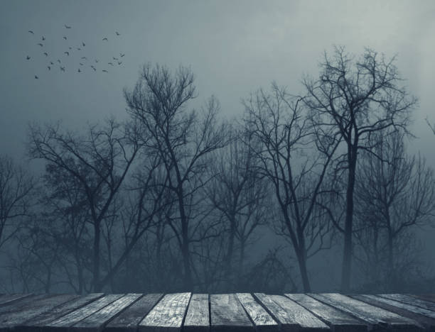 istock Old wooden pier and creepy forest at night 1665016341