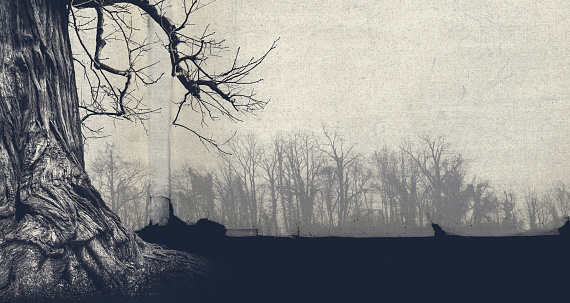 Dry dead tree and spooky forest in the fog, horror vintage background poster