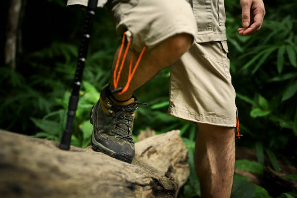 istock Male hiker with backpack walking cross tree trunk, exploring nature in forest. Traveling and adventure concept 1665026192