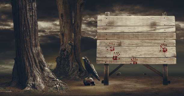 istock Old wooden sign in the forest 1665026383