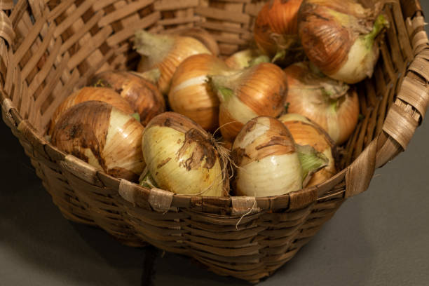 istock Basket with onions from organic farming 1665097244