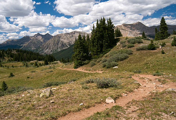 istock Browns Pass Trail in the Collegiate Peaks Wilderness 166510762