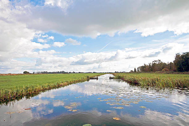 istock Typical wide dutch landscape with meadows, water and cloudscapes 166511333