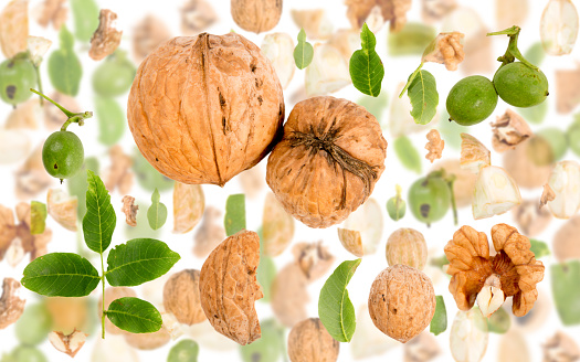 Abstract background made of Walnut pieces, slices and leaves isolated on white.