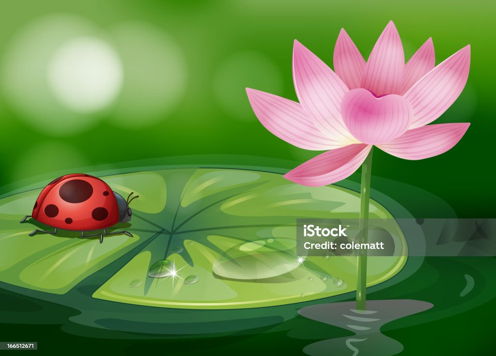 Waterlily avec un insecte rouge - clipart vectoriel de Couleur verte libre de droits