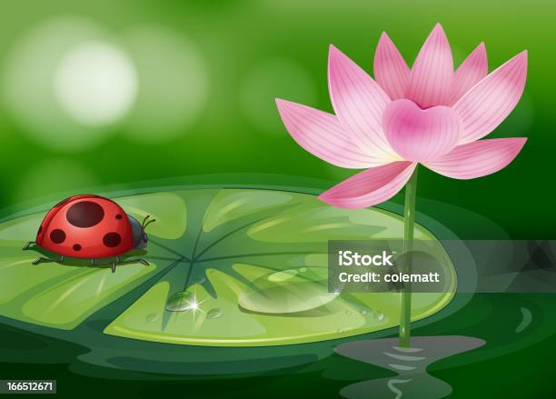 Waterlily Com Um Bug Vermelho - Arte vetorial de stock e mais imagens de Cor verde - Cor verde, Nenúfar, Vermelho