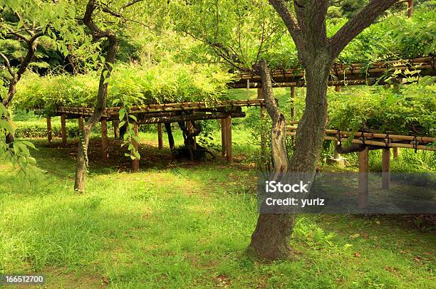 Ogród Letni - zdjęcia stockowe i więcej obrazów Bez ludzi - Bez ludzi, Fotografika, Horyzontalny