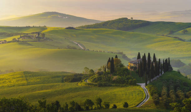 house surrounded by cypress trees among the misty morning sun-drenched hills of the val d'orcia valley at sunrise in san quirico d'orcia, tuscany, italy - val tuscany cypress tree italy imagens e fotografias de stock