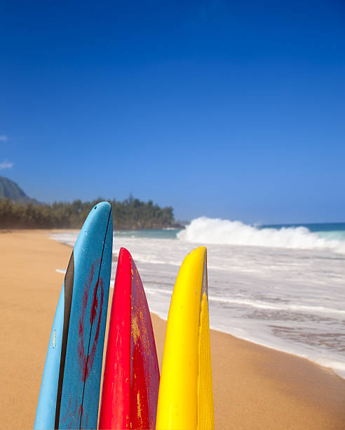 istock Surfboards at Lumahai beach Kauai 166515107